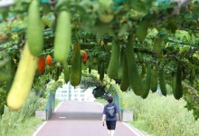 더위 가시는 '처서 매직'도 사라졌다…서울 34도·대구 36도