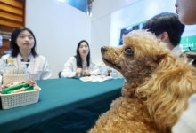 "우리 강아지가 밥을 못먹어서"…동물병원 찾아도 진료비 부가세 면제