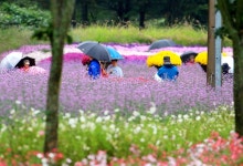 이번주 내내 비 오고 기온 뚝…다음주 5도 '겨울급 추위' 예상