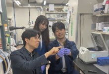 “발광효율 무려 7배↑” KAIST, 3차원 퀀텀닷 나노구조체 첫 구현