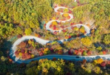 단풍지도, 관광공사+카카오, 산림청 것 모두 보고, 스마트 가을여행 하세요