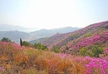 진달래축제 유명한 영취산·흥국사 국가명승 지정