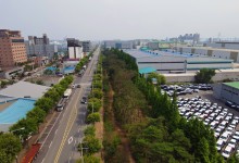 호흡기 질환 주범 미세먼지, 도시숲 통해 해결