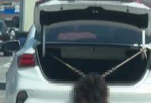 “숨 못 쉴까 봐” 트렁크 열고 질주…묶인 채 뛰어내린 대형견, 결국