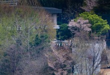 [속보] 대통령경호처 조직쇄신…경호처장 국회 출석 의무화, 준법담당관 도입