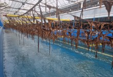 대상, ‘김 육상양식’ 국책과제 선정…“2029년까지 350억원 투입”