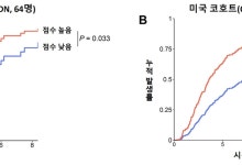 “해답없던 당뇨병콩팥병, 국내연구진 치료제 개발 단서 확인“[김태열의 생생건강S펜]