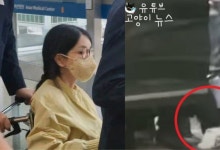 [영상] 우울증 입원한 김건희, ‘휠체어 퇴원’은 쇼?…민형배 “연민은 커녕 가증스러워할 것”