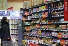 [단독] 롯데웰푸드 초콜릿 제품 17종 가격 인상…"원가 압박, 감내 수준 넘어서"