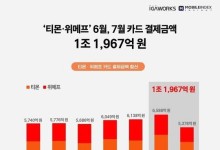 티메프 6~7월 카드결제액 1.2조 추정