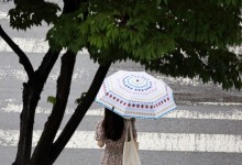 광복절도 '낮 35도' 무더위…경기·남부 등 소나기[오늘날씨]