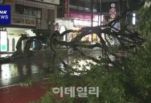 산사태로 숨지고 신칸센서 날밤 새고…日 태풍 '산산' 피해 속출