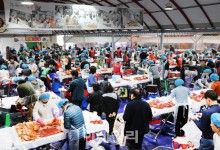 "올해 김장은 호캉스와 함께 해결"…켄싱턴 평창, 김장축제 패키지 출시