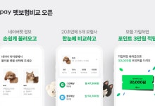 네이버페이, 5개 보험사 ‘펫보험 비교’ 오픈…네이버쇼핑과 시너지