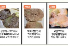 “국밥 속 고기에 형광빛이…먹어도 되는 걸까요?”
