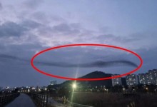 “검은 용 같다”…참사 당일 포착된 거대한 ‘새 떼’