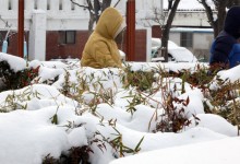 낮부터 포근한 날씨…서울 낮 최고 7도 안팎 올라[내일날씨]