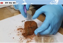 로맨스스캠 활용한 필로폰 유통…국정원, 국제마약조직 총책 검거