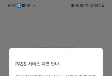 '명의도용 방지' 신청자 몰리자 패스 앱 서비스 지연