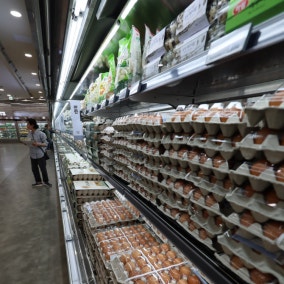 생산자물가 반년만에 하락전환…달걀·돼기고기 가격은↑