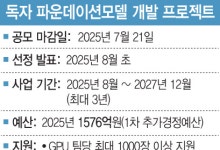 [단독] 한국 독자 AI 모델 심사 위원에 '외국인' 검토