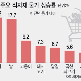 "쌀·고기 줄줄이 올랐는데 전쟁까지"…'설상가상' 밥상물가
