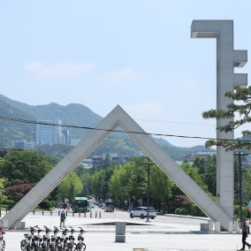 서울대 자연계 정시합격 180명 등록 포기… 5년새 최대