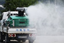 강원 인제·충남 당진서도 ‘럼피스킨’ 발생…2024년 12건으로 늘어