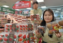 겨울철 ‘딸기 마케팅’…분주한 유통업계