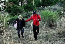 “고사리 따러 산 속 들어가지 마세요”… 길 잃고 뱀에 물리는 사고 잇따라
