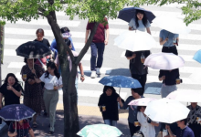 낮 최고 36도 ‘불볕더위’…밤에는 후끈후끈 ‘열대야’ [오늘날씨]