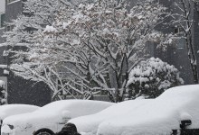 한라산엔 120㎝ 쌓였다… ‘시간당 최대 5㎝’ 폭설, 내일까지