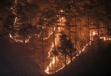 울주 산불 ‘3단계’로 격상.. 의성 진화율 30%, 산청은 55%