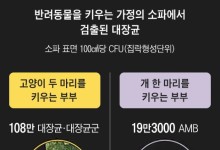 집안에서 자주 쓰는데... 변기보다 세균 75배 많은 ‘이 가구’