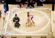 [잡담] 美법원, 플로리다주의 중국인 부동산 매수 규제에 "옳다” | 인스티즈