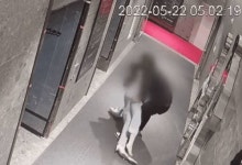 '부산 돌려차기' 가해자 항소심서 무죄 주장, 검찰은 징역 3년 구형