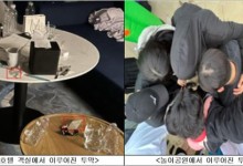 SKY 명문대생 '마약 동아리' 발칵…"호텔 풀파티" 모여 집단투약
