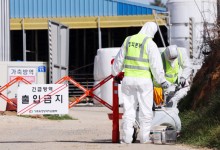 ‘구제역 청정지역’ 전남서 첫 구제역 발생…국내 1년10개월 만 ‘방역 비상’
