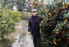 마을회관 지붕 고치다 추락…뇌사 70대, 3명 살리고 떠났다