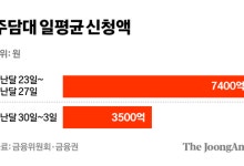 ‘6억 제한’ 대출 규제 일단 효과…주담대 신청액 ‘반토막’ 났다