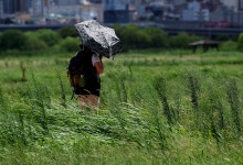 일요일 기온 35도까지…계속 덥다