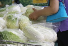 농식품장관 “김장 배추 염려 안 해도 돼…12월 농산물기후 대책 발표”