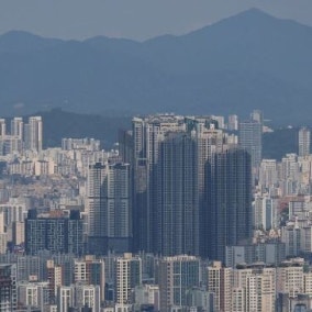 약자는 왜 개혁의 총알받이가 되나