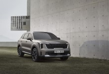 올 상반기 중형 SUV 판매만 늘어…신차 가세로 쏠림 현상 가속
