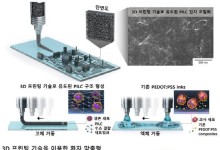 "조직 손상 입지 않고 심장·뇌 신호 측정"…3D프린팅 이용해 생체전자소자 제작