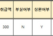 우리투자증권에서도 손 전 회장 친인척 대출이?