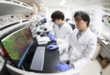 정부, 첨단바이오 15개 연구과제 선정