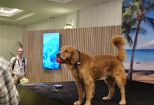 퀄컴이 제시한 미래 모습 보니…반려견 순간 포착하고 자동차 강력해진다[김나인의 `테크 티키타카`]