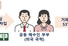 `환치기`로 부동산 매입…외국인 위법의심거래 282건 적발