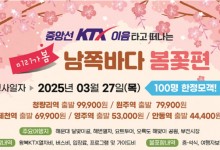 KTX 중앙선 타고 부산 봄꽃 보러 간다…관광공사, 당일 여행상품 출시